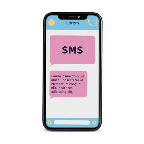 Envoi de SMS </br><small> Professionnels</small>